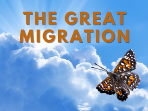 Butterfly Migration: How do they do it