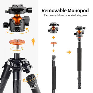 K&F Concept Carbon Fiber Tripod / Monopod