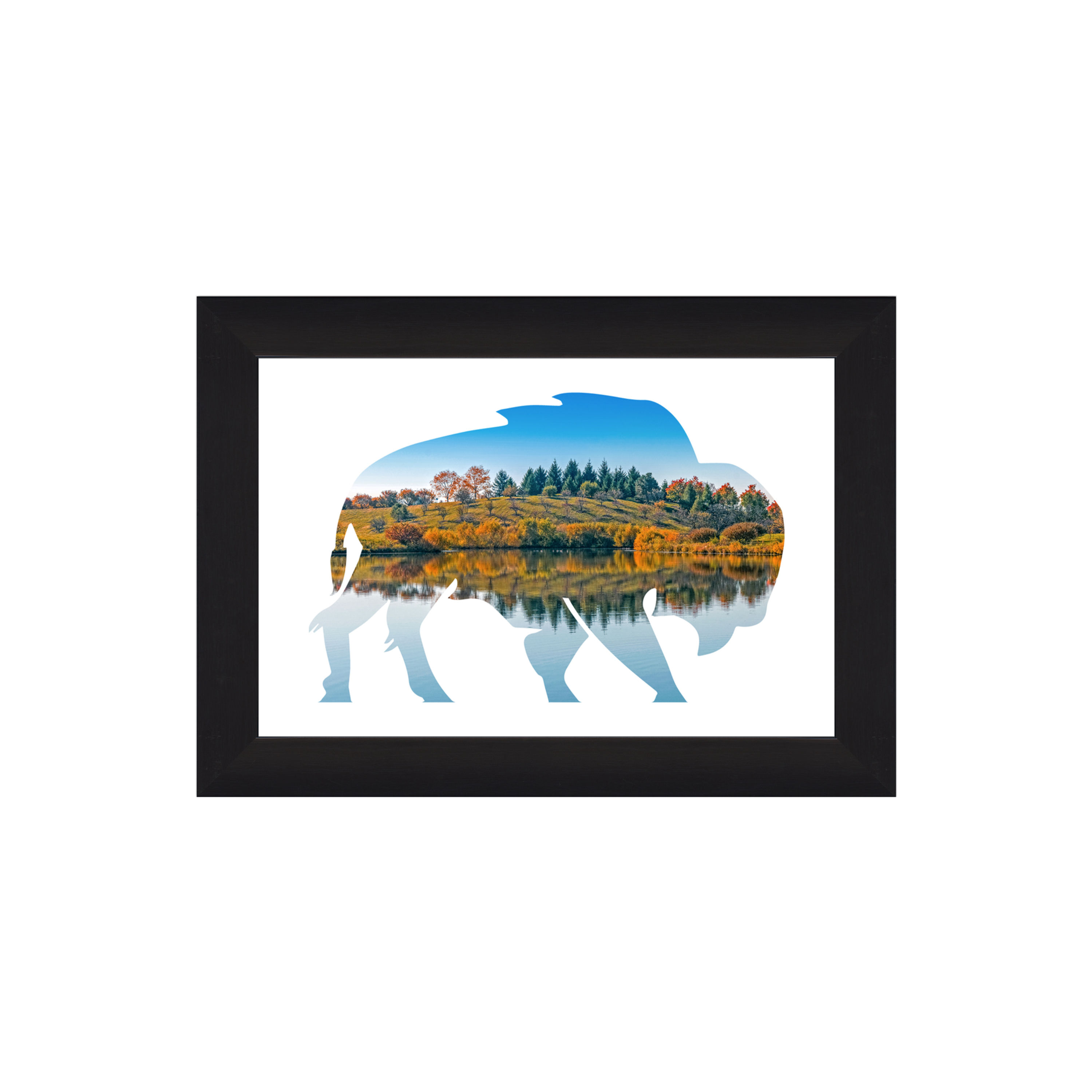 Bison Autumn Lake Framed Artwork