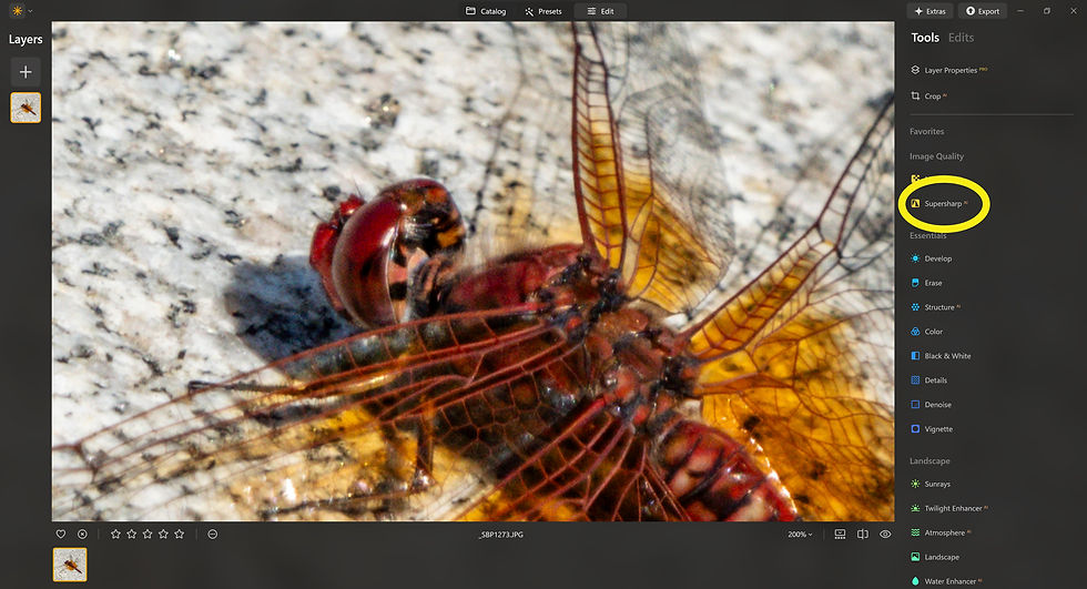 Luminar Neo Supersharp AI