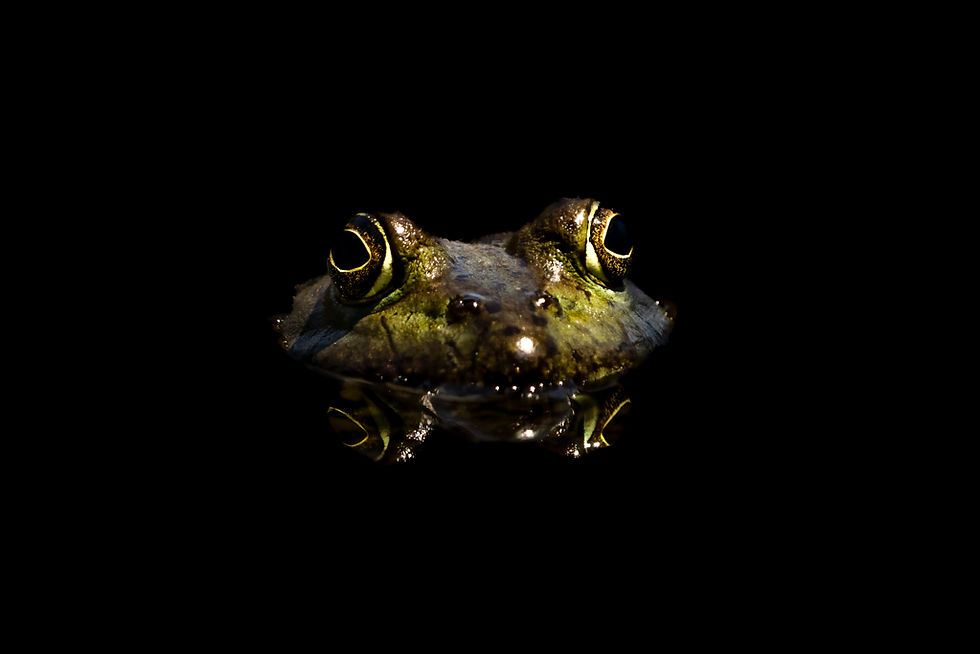 ree