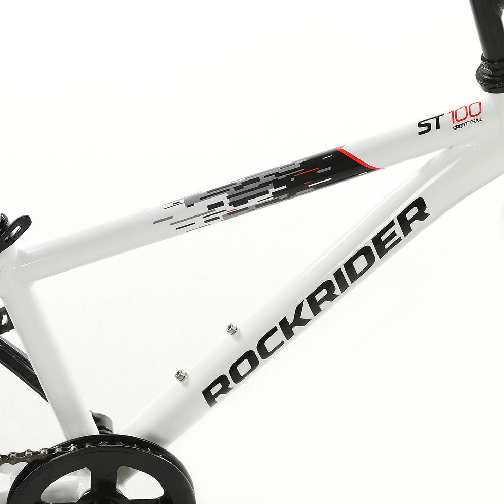 Thumbnail: Kids' Mountain Bike RR 20" ST 100