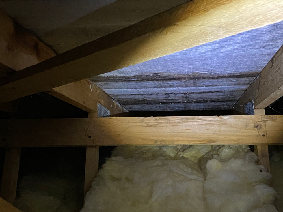 Surveyor assessing existing residential block to inform refurbishment feasibility