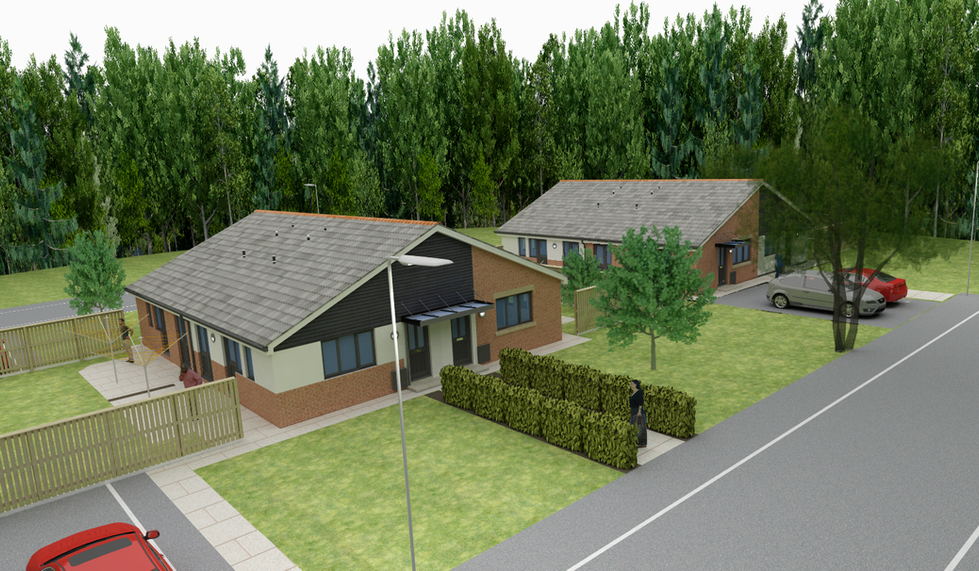 Early-stage feasibility inspection for social housing improvement project