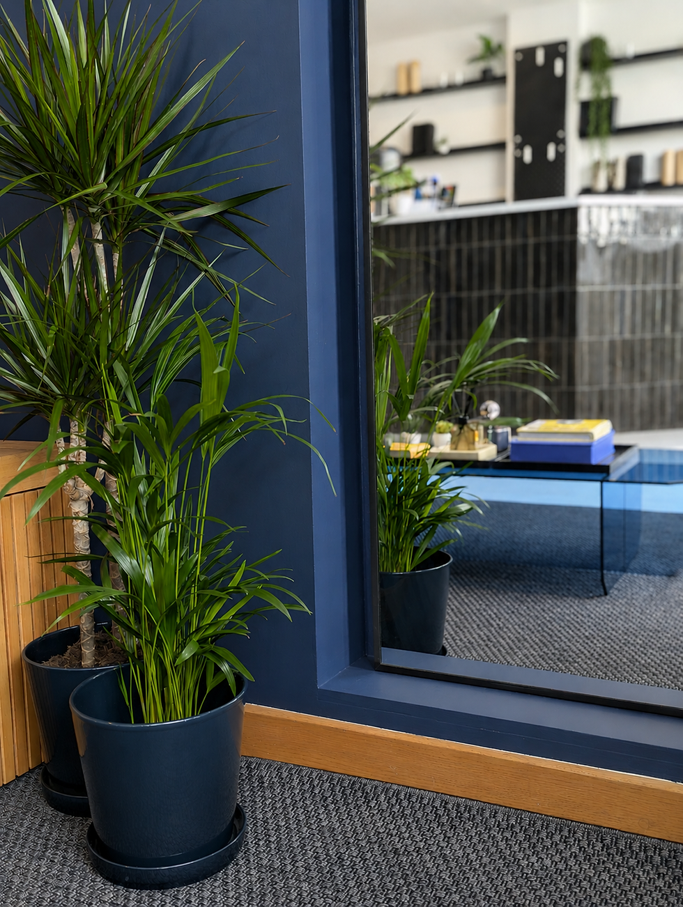 Posture London - West Wickham - Reception Area