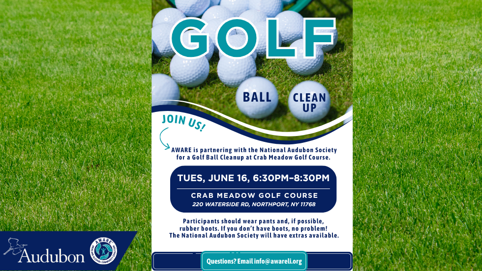 Golf Ball Cleanup