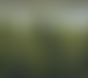 Exportação de canábis para fins medicinais em Portugal