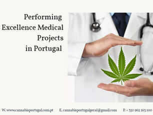 Importância da Cannabis Medicinal para a saúde