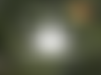 Primeira substância à base da planta da cannabis para fins medicinais aprovada em Portugal