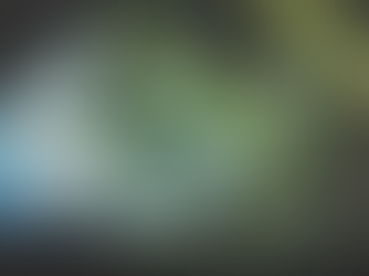 As novas legislações da Canábis Medicinal em Portugal 2019