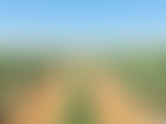 Maior plantação europeia de Cannabis medicinal fica em Portugal