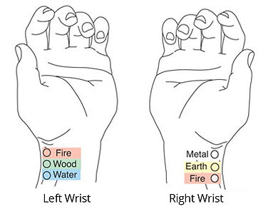 The pulse points are located on the thumb side of each wrist. Photo Credit: NET, Inc.