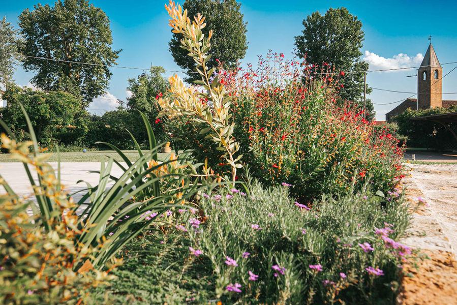 Appartamento ciesazza giardino