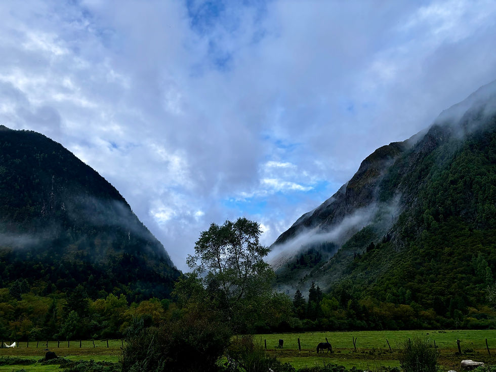 Dernier camps "en plaine"