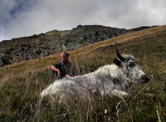 Photo du rédacteur: Dr. ROB WILLIAMS