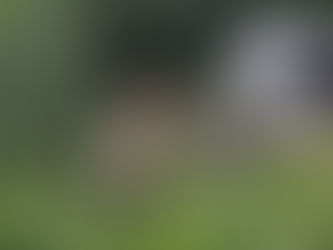 Troisième Trek de printemps