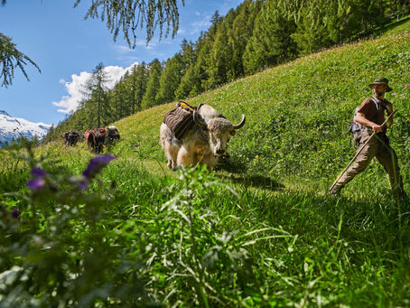 Trek de l'Inalpe