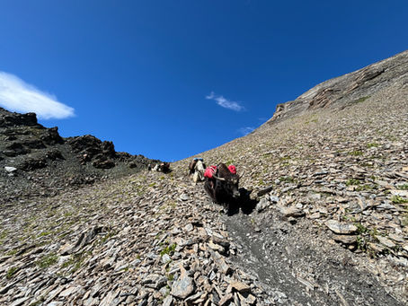 Trek des Alpages (vidéo)
