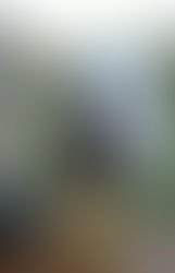 Hidromiel Melinium primens