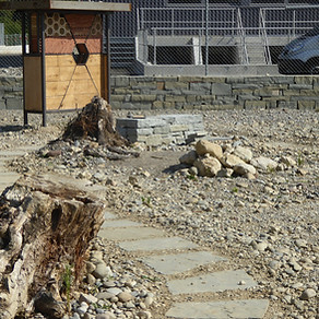 P1020367-scaled (1).jpg