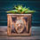 Thumbnail: Vintage Elegant Copper Planter Trough Lion Heads