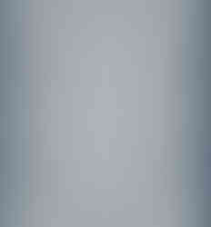 Vintage daisy bordered rug