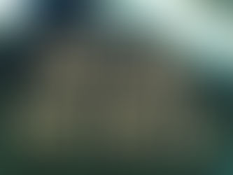 8 Predictors of Church Growth