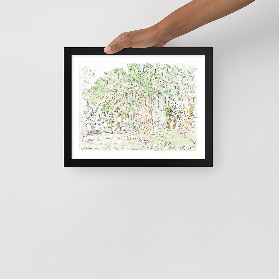 Thumbnail: Fairchild Oak 11x14