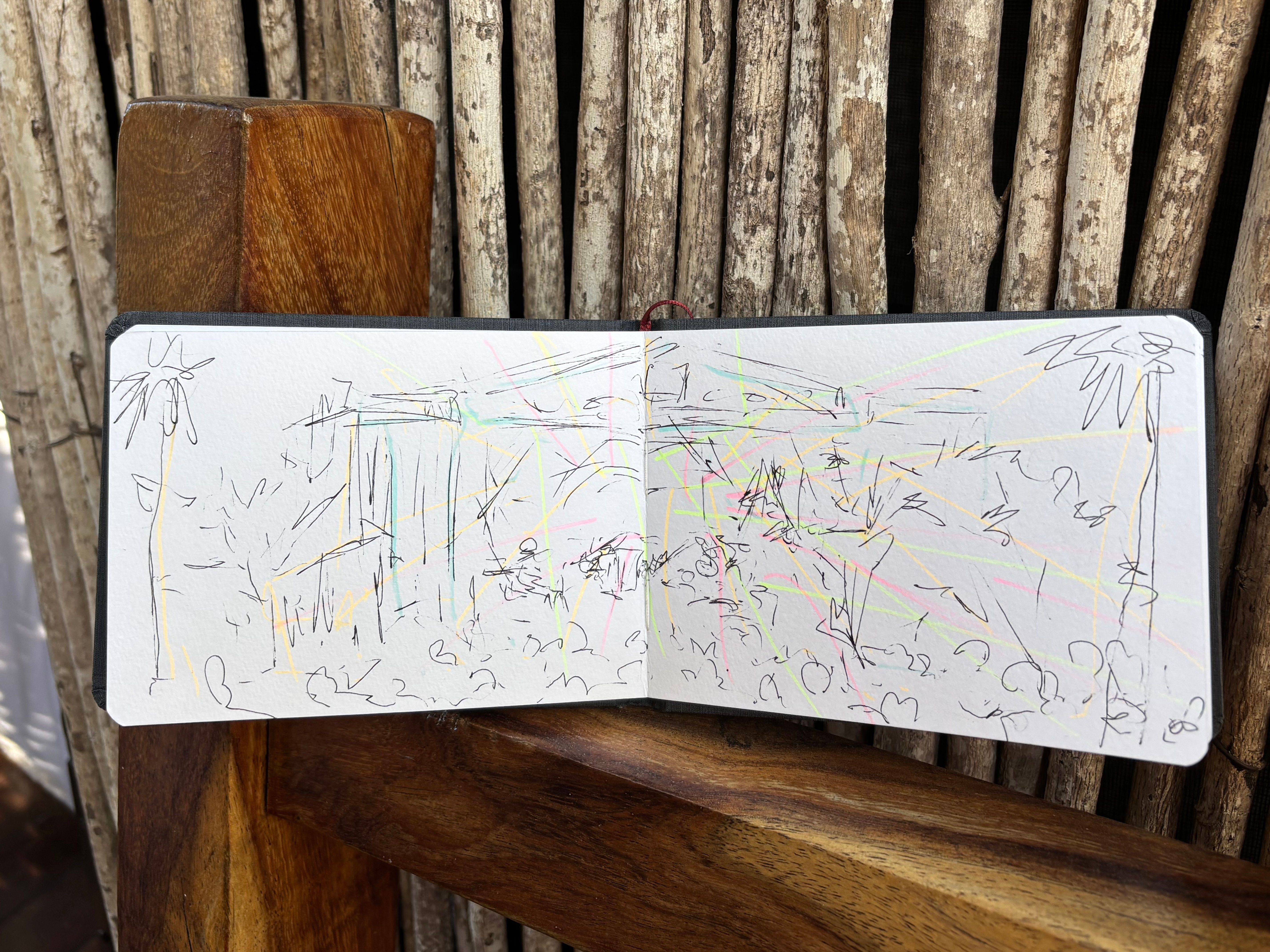 N3 ORIGINAL: Goose Panoramic [blind drawing]