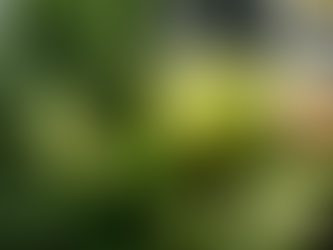 IJzerrijke groenten en fruit