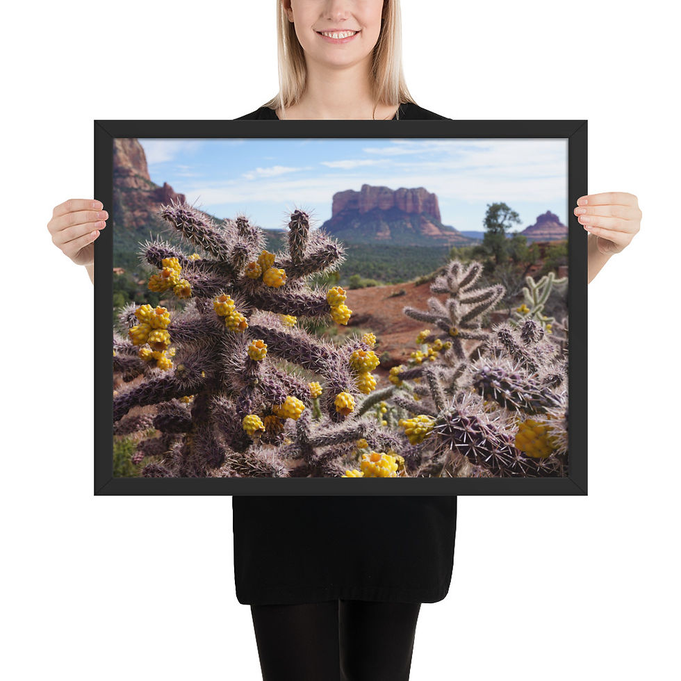 Thumbnail: Framed Print