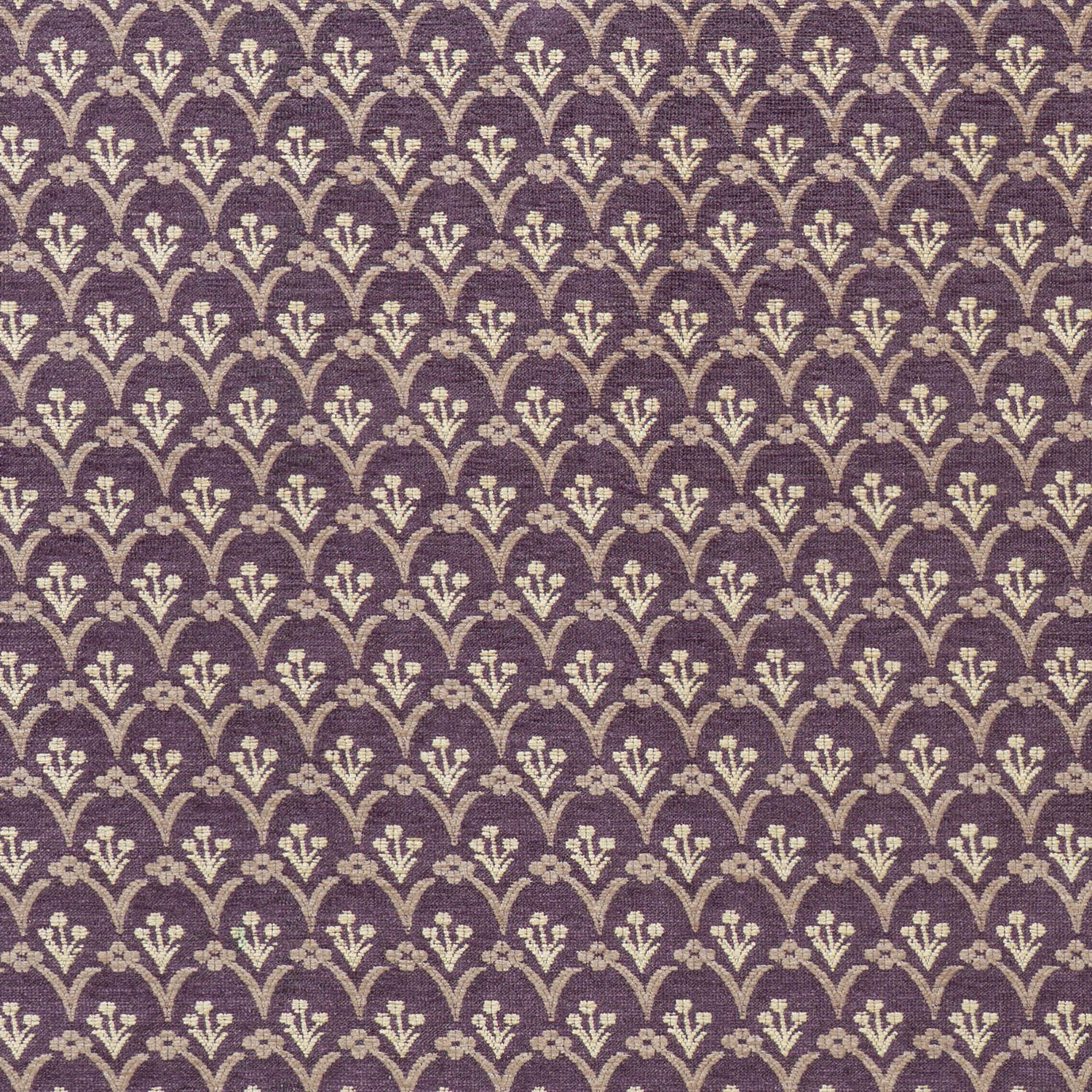Pomona in Amethyst/Chalk