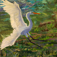 #97 Light Landing