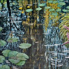 #5 Sky below water lilies