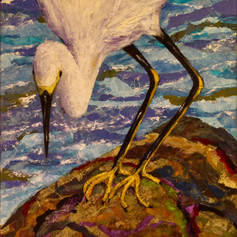 #96 Snowy Egret
