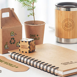 Eco-friendly promotional products on a desk items: plant in cup, bamboo mug, notebook with "ONE WORLD" text, cardboard packaging, and laptop on white desk.