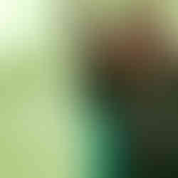 green t-shirt screen printed in full color