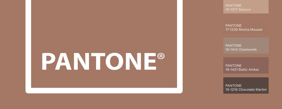 Pantone Mocha Mousse reflects a desire for a neutral colouPantone team said that Mocha Mousse reflects a desire for a neutral colour that is less typical than beige or greyr that is less typical than beige or grey