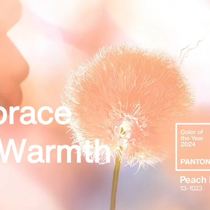 Embracing Empathy: Pantone Color of the Year 2024 - Peach Fuzz