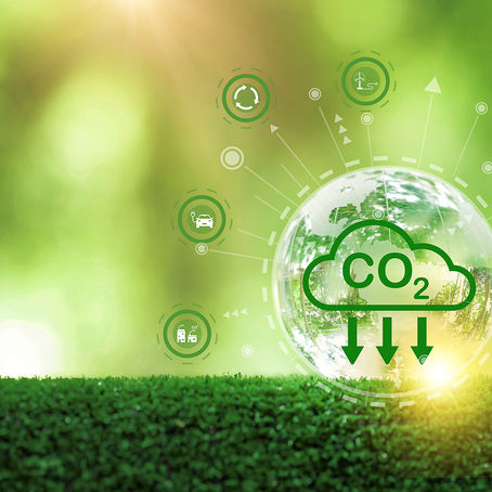 Does Carbon Offsetting Truly Reduce Carbon Emissions?
