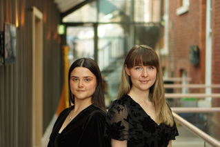 Duo Emrys (Flute and Harp combo)