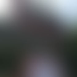 イタリア出張 -Day 2-