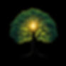 tree of life summer with black background with sun peering through.jpg