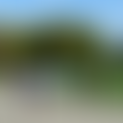 Sponsorenlauf - Ablauf