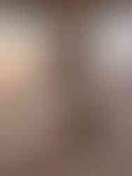 Cabane du père-noël Levi