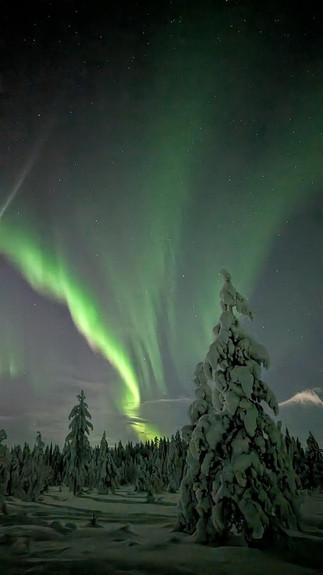 Aurores Boréales Ylläsjärvi
