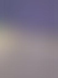 Karting sur glace Levi