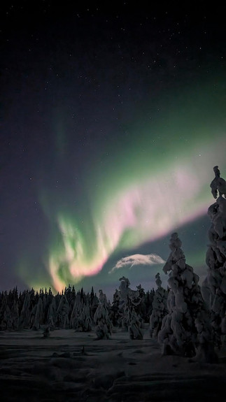 Aurores Boréales Ylläsjärvi