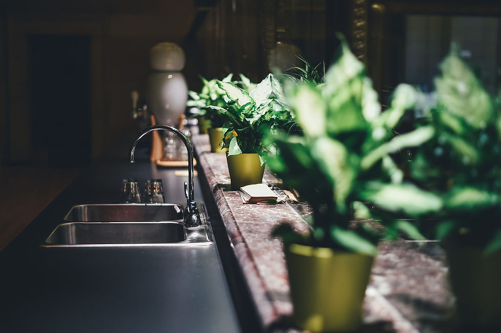 kitchen-g04282376e_1920.jpg