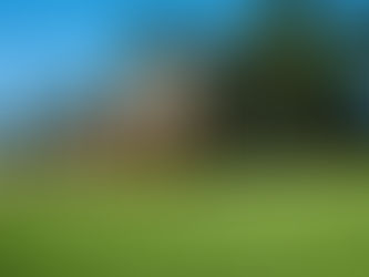 What is a Homeowner's Association?